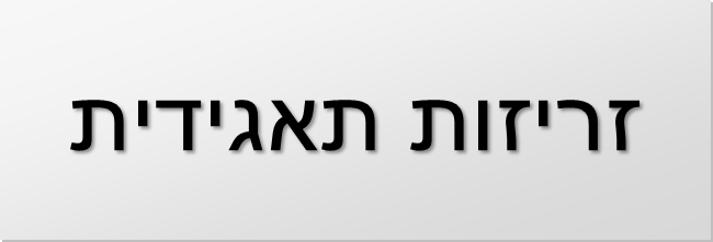 זריזות תאגידית